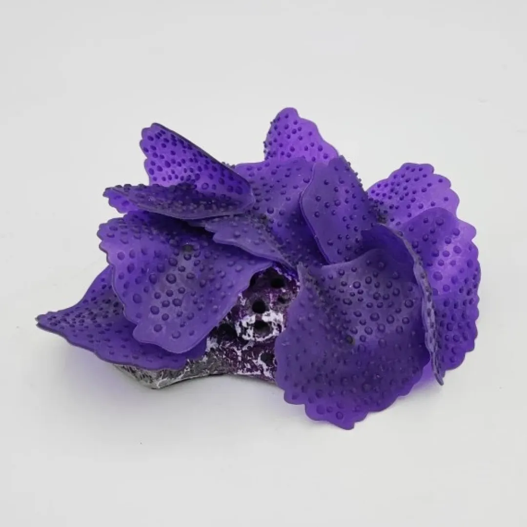 Blau - Aquaristic Kunstig koral Ulva lactuca (Purple) 12x9x4 cm