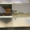 MiniZoo Labbur 4 (rottebur) brugt