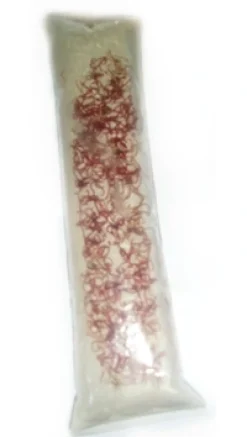 Levende foder til Akvariefisk Levende Røde myggelarver 90 ml (levende foder - Bloodworms) 5 stk