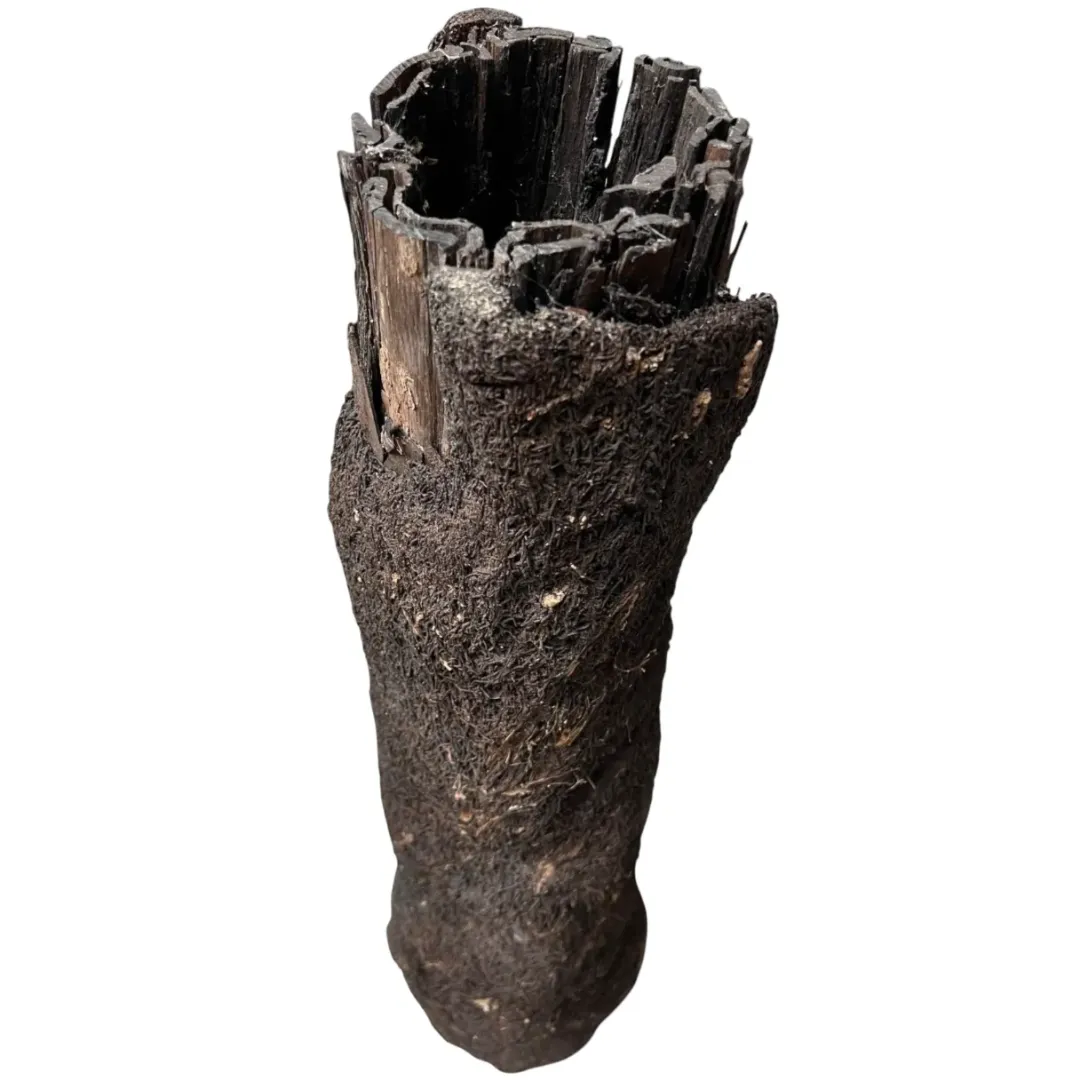 MiniZoo .dk Xaxim Træstamme Ø 30-40 cm XXL ca 1 meter