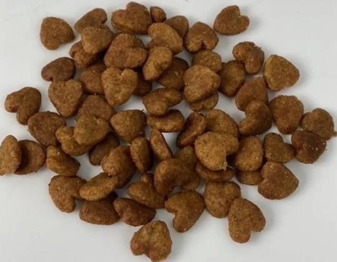 Natura Diet Super premium Hunde & kattefoder Moments Cat Digest snack 70 g