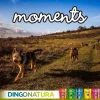 Natura Diet Super premium Hunde & kattefoder Moments hundesnack Iberisk skinke 60 g - naturlige hundegodbidder