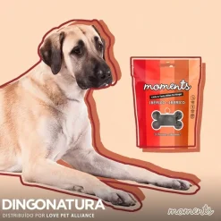 Natura Diet Super premium Hunde & kattefoder Moments hundesnack Iberisk skinke 60 g - naturlige hundegodbidder