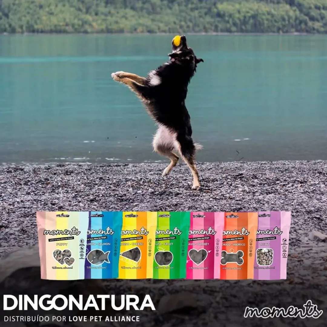 Natura Diet Super premium Hunde & kattefoder Moments hundesnack Kalkun 60 g - naturlige hundegodbidder