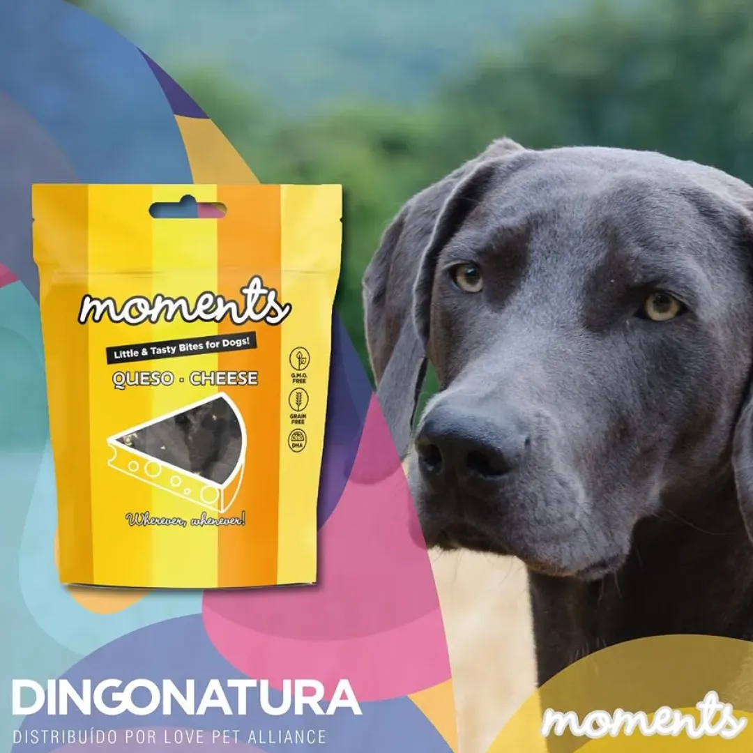 Natura Diet Super premium Hunde & kattefoder Moments hundesnack Kylling og Ost 60 g - naturlige hundegodbidder