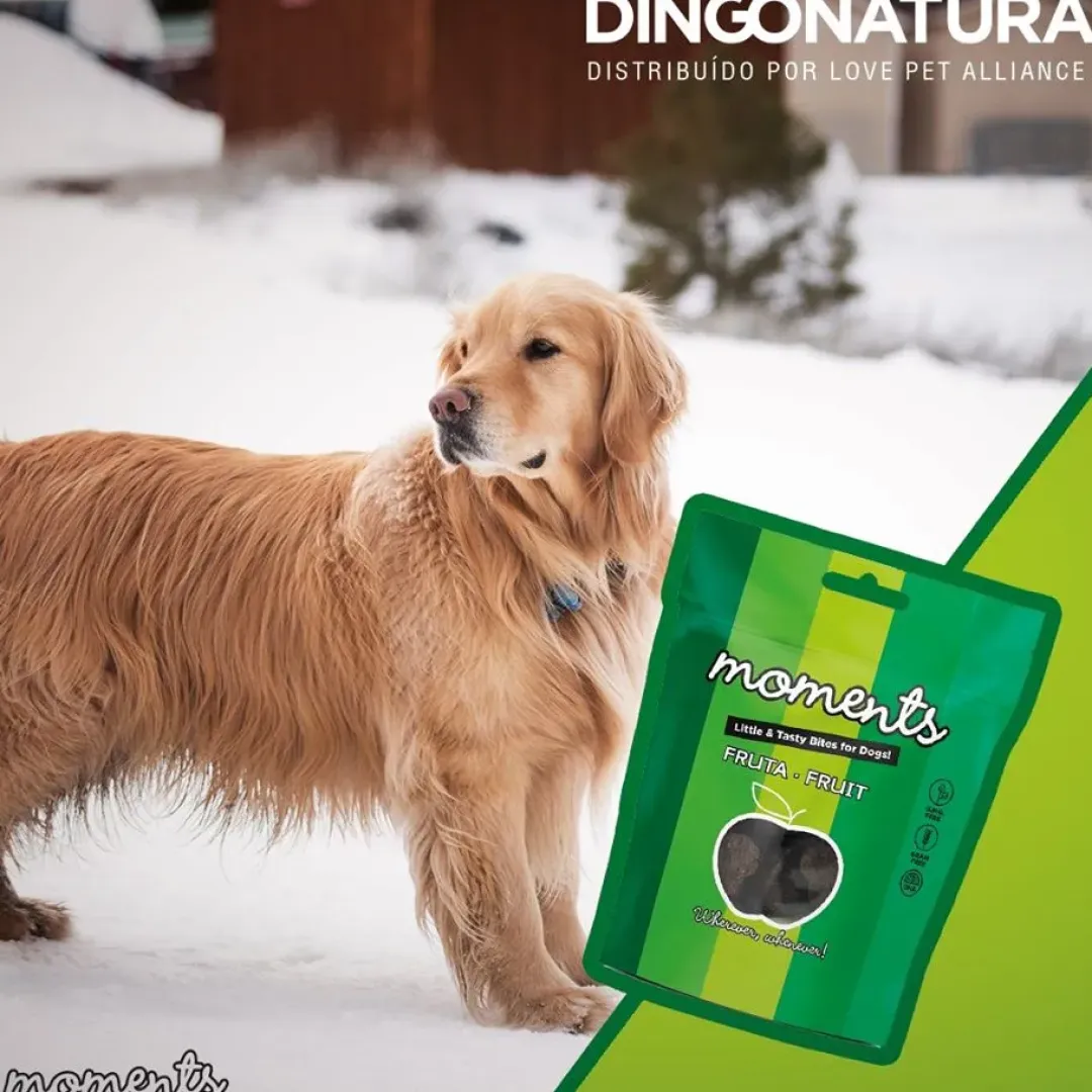 Natura Diet Super premium Hunde & kattefoder Moments hundesnack Kylling og Frugt 60 g - fuldfoder hundegodbidder