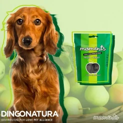 Natura Diet Super premium Hunde & kattefoder Moments hundesnack Kylling og Frugt 60 g - fuldfoder hundegodbidder