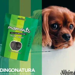 Natura Diet Super premium Hunde & kattefoder Moments hundesnack Kylling og Frugt 60 g - fuldfoder hundegodbidder