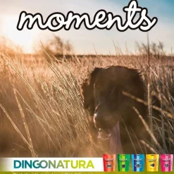 Natura Diet Super premium Hunde & kattefoder Moments hundesnack Kylling og Frugt 60 g - fuldfoder hundegodbidder