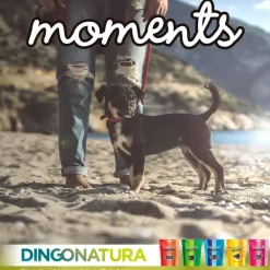 Natura Diet Super premium Hunde & kattefoder Moments hundesnack Kylling og Frugt 60 g - fuldfoder hundegodbidder