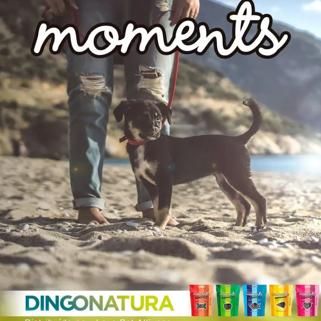 Natura Diet Super premium Hunde & kattefoder Moments hundesnack Kylling og Frugt 60 g - fuldfoder hundegodbidder
