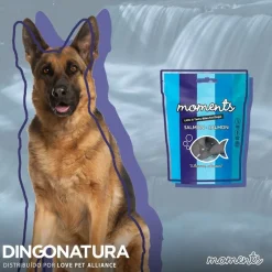 Natura Diet Super premium Hunde & kattefoder Moments hundesnack Laks 60 g - fuldfoder hundesnacks