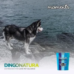 Natura Diet Super premium Hunde & kattefoder Moments hundesnack Laks 60 g - fuldfoder hundesnacks