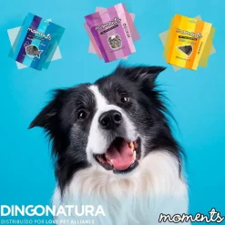 Natura Diet Super premium Hunde & kattefoder Moments hundesnack Light 60 g - blød træning med lette kalorier