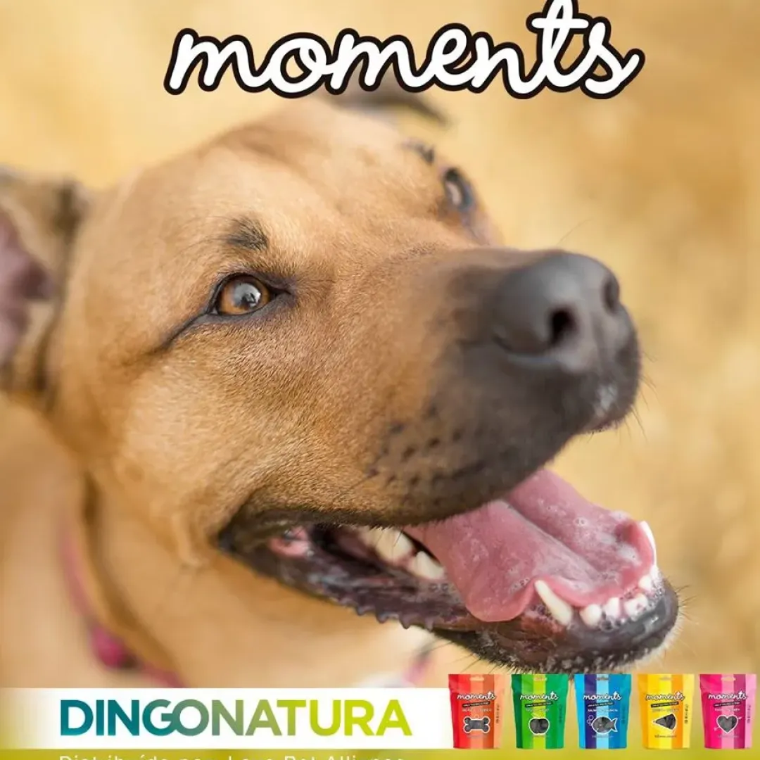 Natura Diet Super premium Hunde & kattefoder Moments hundesnack Puppy 60 g - blød træning til hvalpe