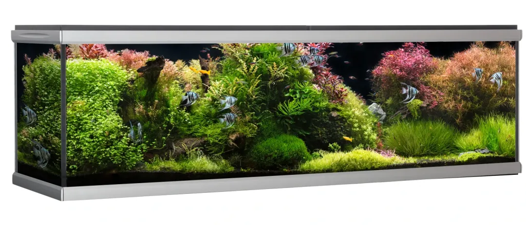 Akvastabil MOVE akvarium 720 liter Sort