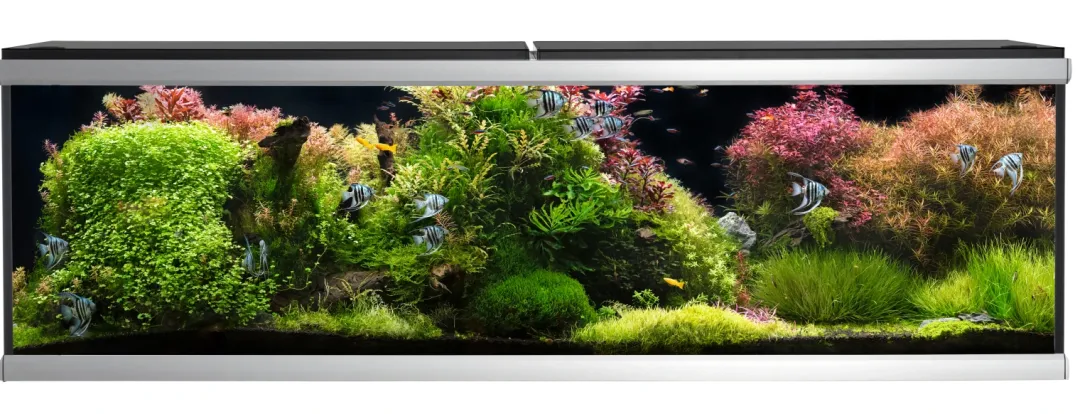 Akvastabil MOVE akvarium 720 liter Sort