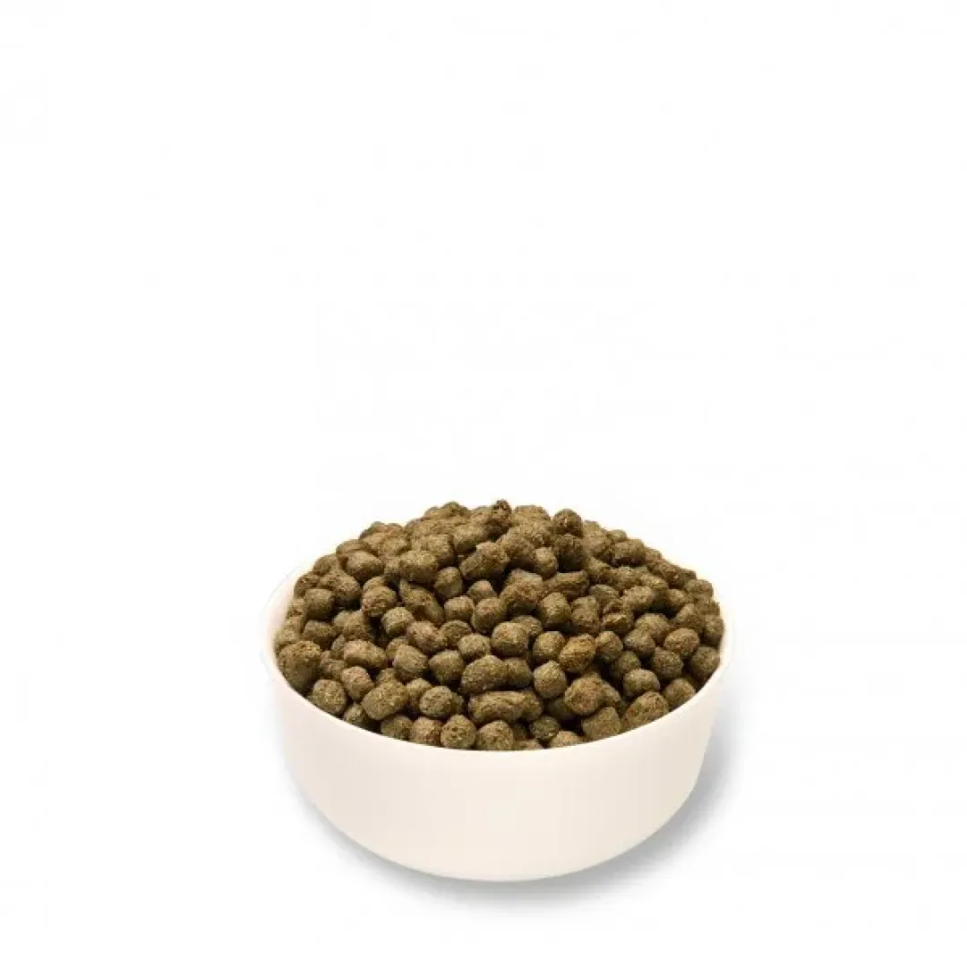 Mr Johnson - kvalitets gnaverfoder Mr Johnson Kaninfoder Advance Rabbit 10 kg
