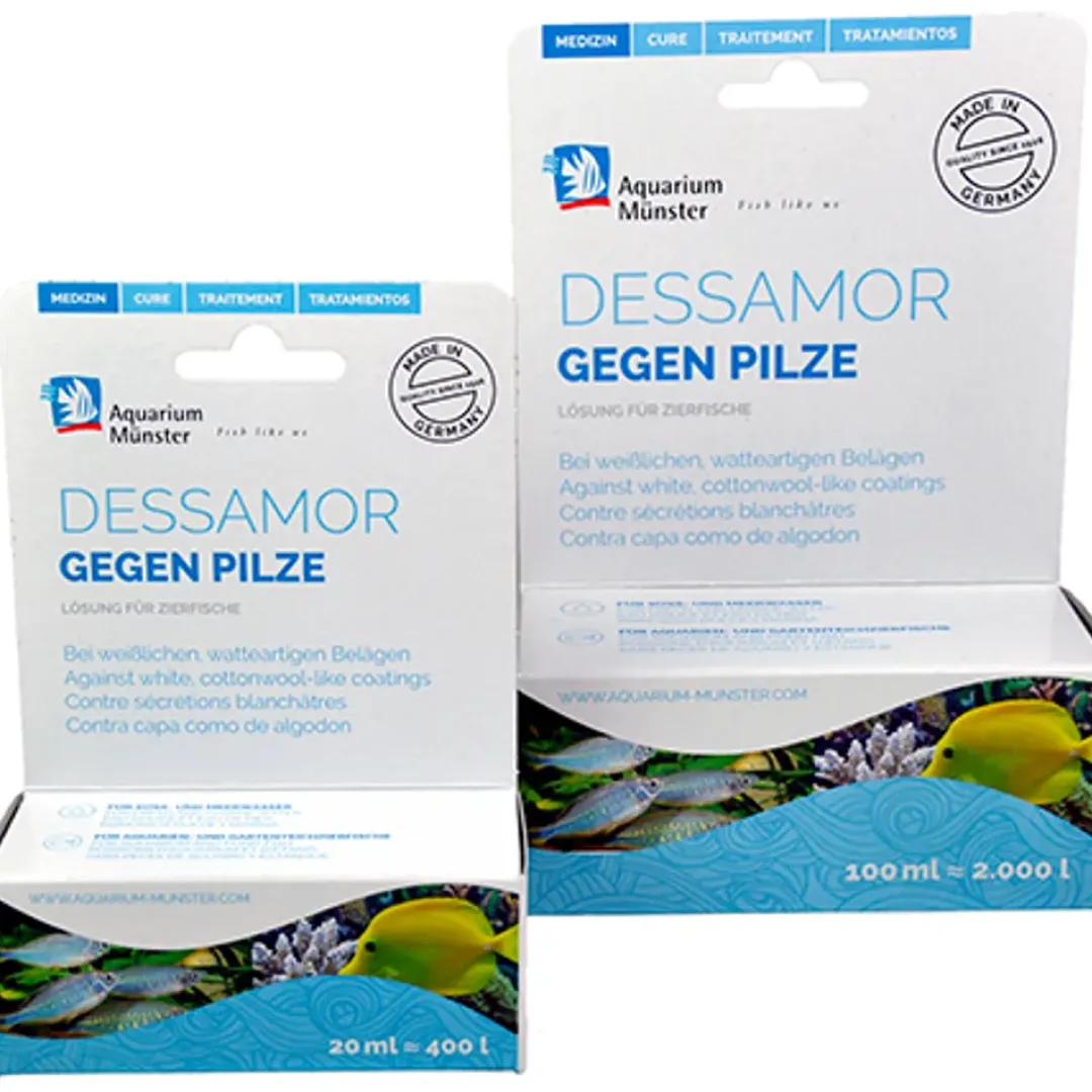 MiniZoo Munster Dessamor 20 ml