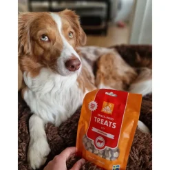 MUSH Treat Grisehjerte 55 g - naturlige hundesnacks