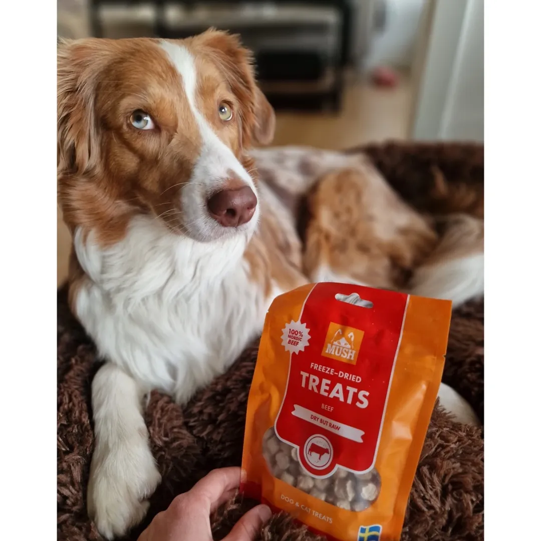 MUSH Treat Griselunger 55 g - naturlige godbidder til hunde