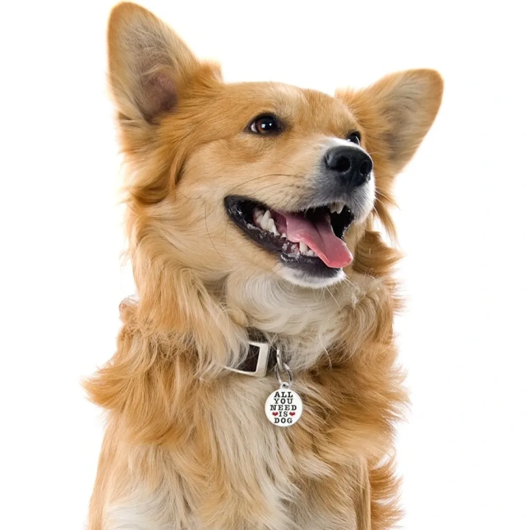 My Family Hundetegn All You Need Is Dog