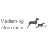 Natura Diet Super premium Hunde & kattefoder Natura Diet Fisk og Ris hundefoder 3 kg - Naturlig ernæring til hunde
