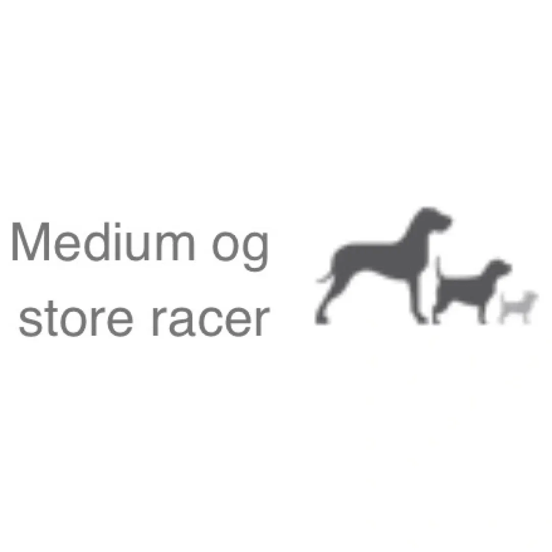 Natura Diet Super premium Hunde & kattefoder Natura Diet Fisk og Ris hundefoder 3 kg - Naturlig ernæring til hunde