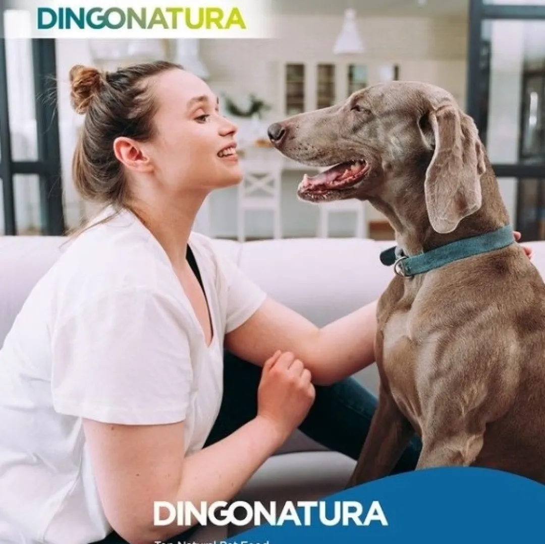 Natura Diet Super premium Hunde & kattefoder Natura Diet Hundefoder Senior +7 3 kg - naturligt tørfoder til ældre hunde