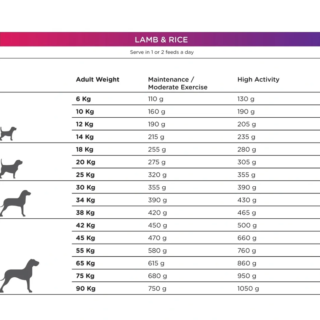 Natura Diet Super premium Hunde & kattefoder Natura Diet Lam og Ris Hundefoder 3 kg - Sundt og nærende til små og mellemstore hunde