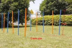 Pawise Hunde Agility Slalom 12 stk pæle - sjov hundetræning