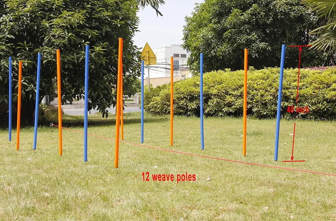 Pawise Hunde Agility Slalom 12 stk pæle - sjov hundetræning