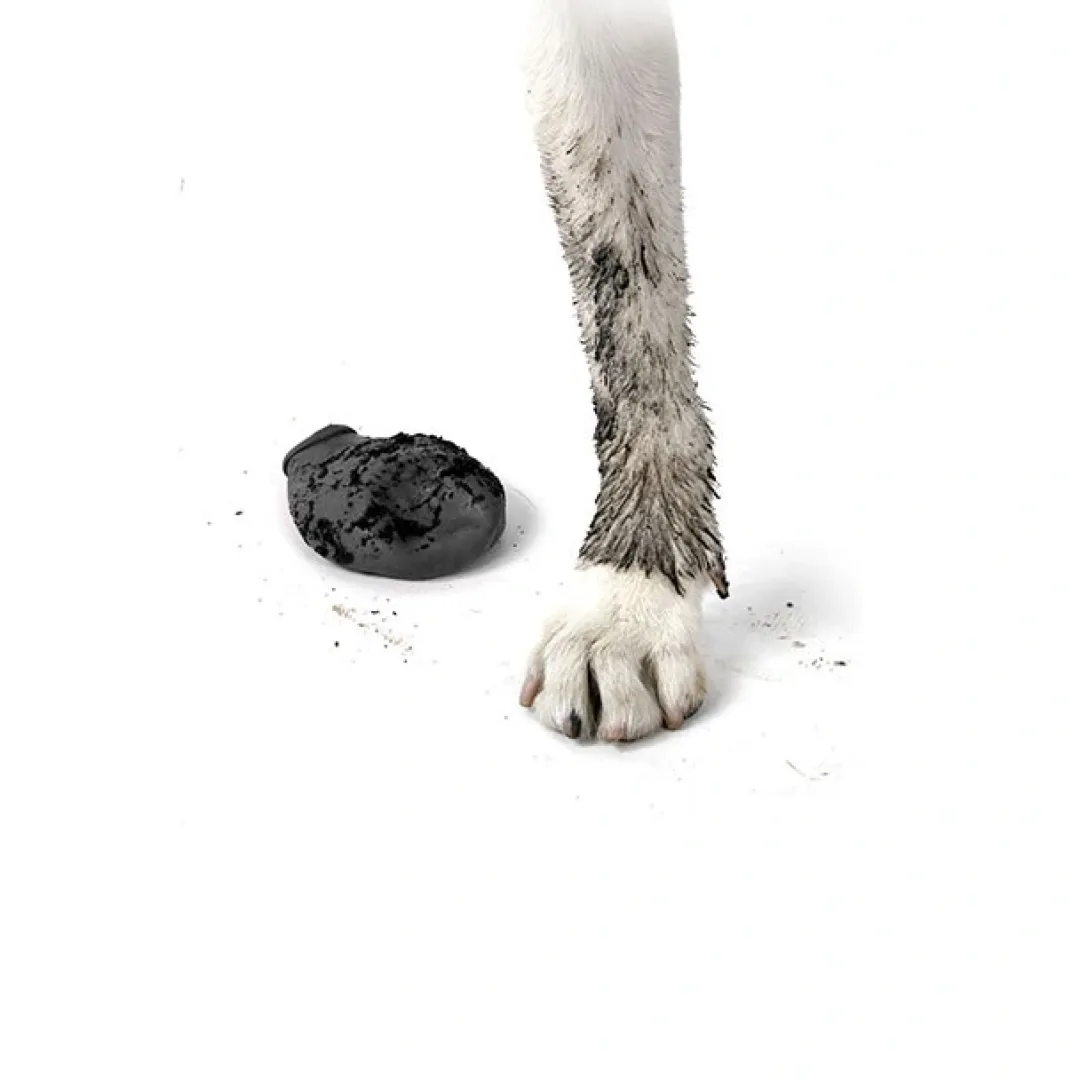 MiniZoo Pawz hundesko Large 10,2 cm sort