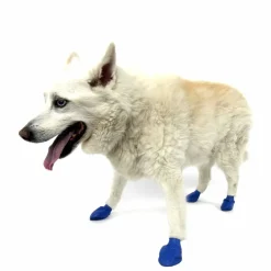 Pawz Hundesko Medium 7,6 cm blå
