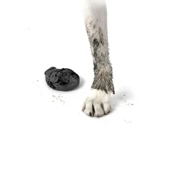 Pawz Hundesko X-Small sort 5,1 cm
