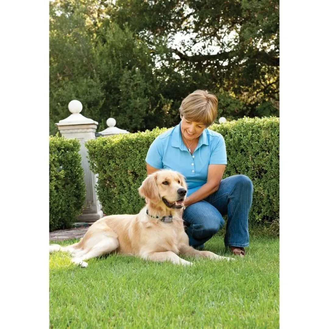 Petsafe - anti gø halsbånd store hunde