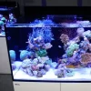 RedSea Red Sea Akvarium Max E-260 Hvid