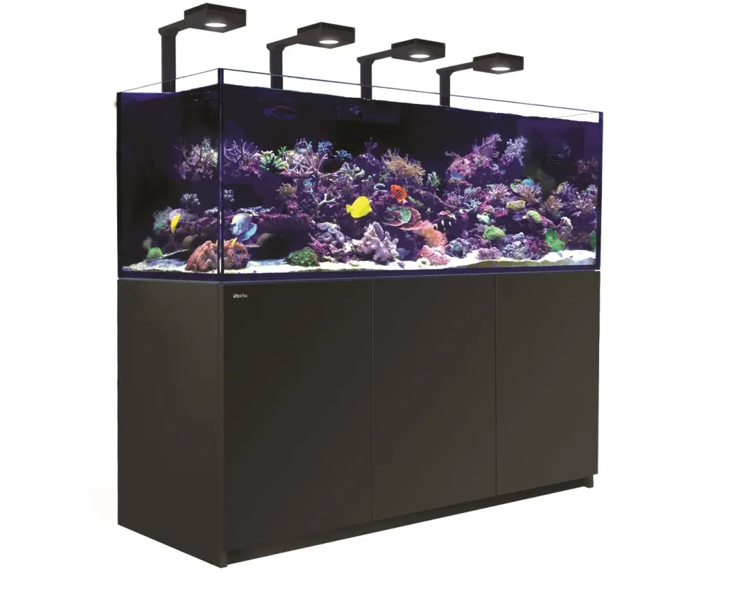 RedSea Red Sea Akvarium Reefer Deluxe XXL Sort 750