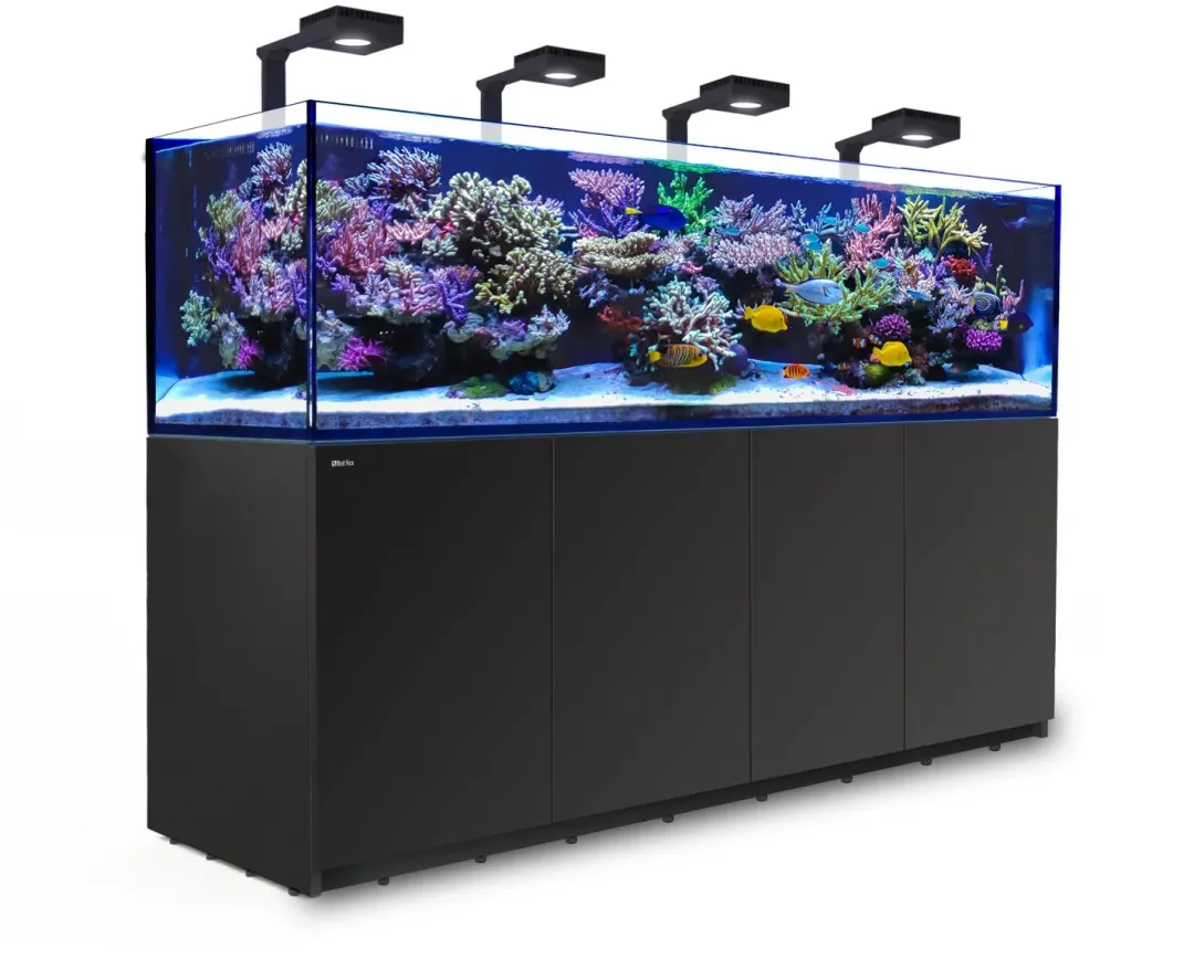 RedSea Red Sea Akvarium Reefer 3XL 900 Deluxe Sort