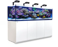 RedSea Red Sea Akvarium Reefer 3XL 900 Deluxe Hvid