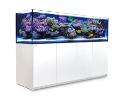 RedSea Red Sea Akvarium Reefer 3XL 900 Hvid