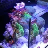 RedSea Red Sea Nano Max Complete Reef System Sort G2