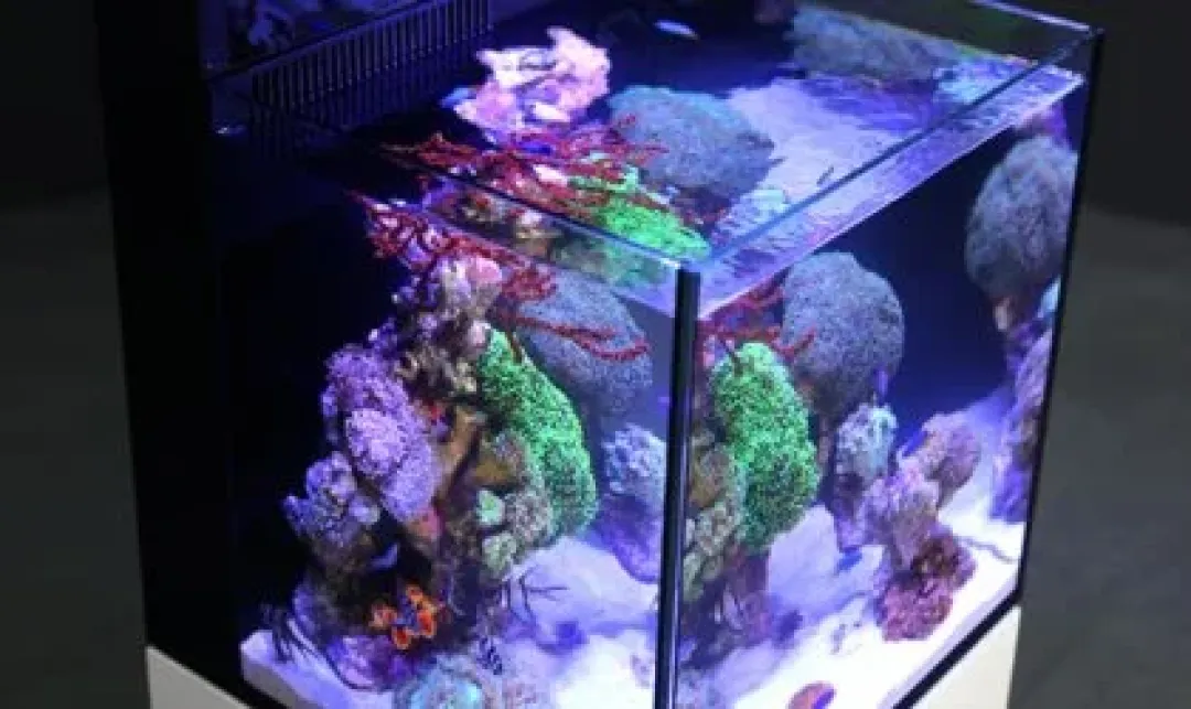 RedSea Red Sea Nano Max Complete Reef System Sort G2