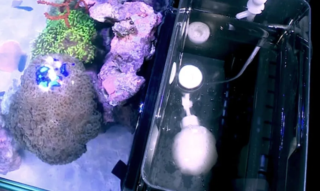 RedSea Red Sea Nano Max Complete Reef System Sort G2