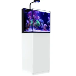 RedSea Red Sea Nano Max Complete Reef System Hvidt G2