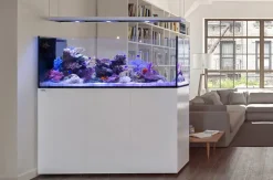 RedSea Saltvandakvarium Peninsula P650 Deluxe Hvid