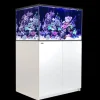RedSea Red Sea Saltvandsakvarium Reefer XL 300 Hvid