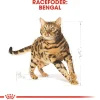 Royal Canin Kattefoder Royal Canin Bengal 2 kg Adult