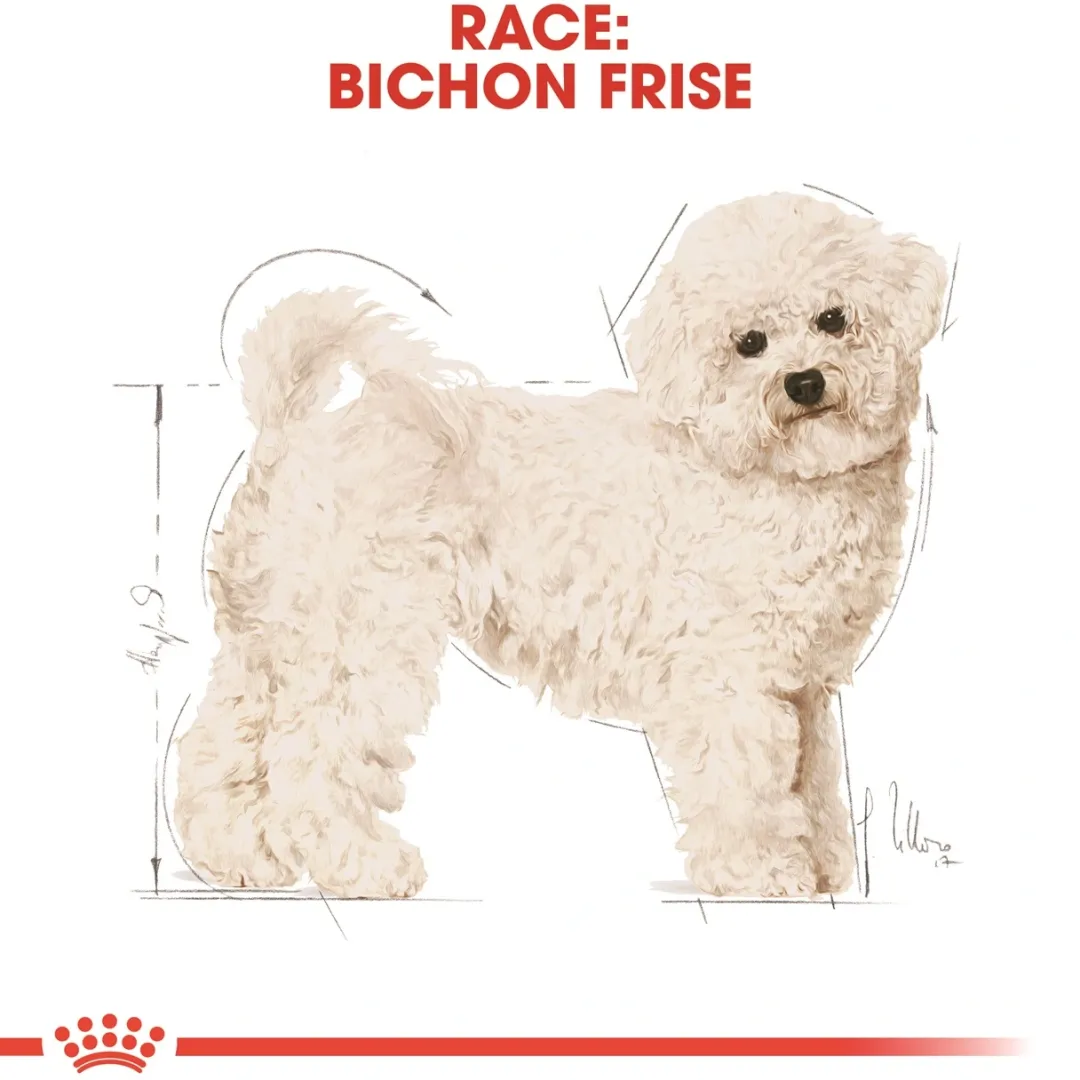 Royal Canin Hundefoder Royal Canin Bichon Frise Adult 1,5 kg - tørfoder til voksne hunde