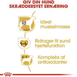 Royal Canin Hundefoder Royal Canin Boxer Adult 12 kg - fuldfoder til voksne boxere